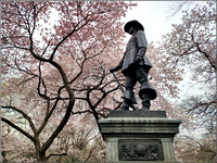 Central Park Cherry blossom 2023