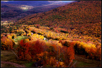 Foliage in New York State 2012