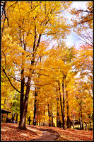 DSC_1635_1.jpg
